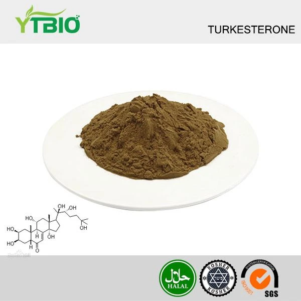 Turkeszteron por
