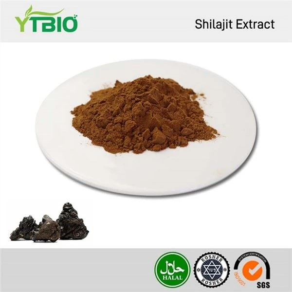 Shilajit kivonat
