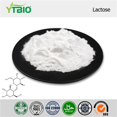 Tiszta laktózpor