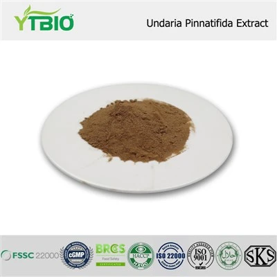 Undaria Pinnatifida kivonat